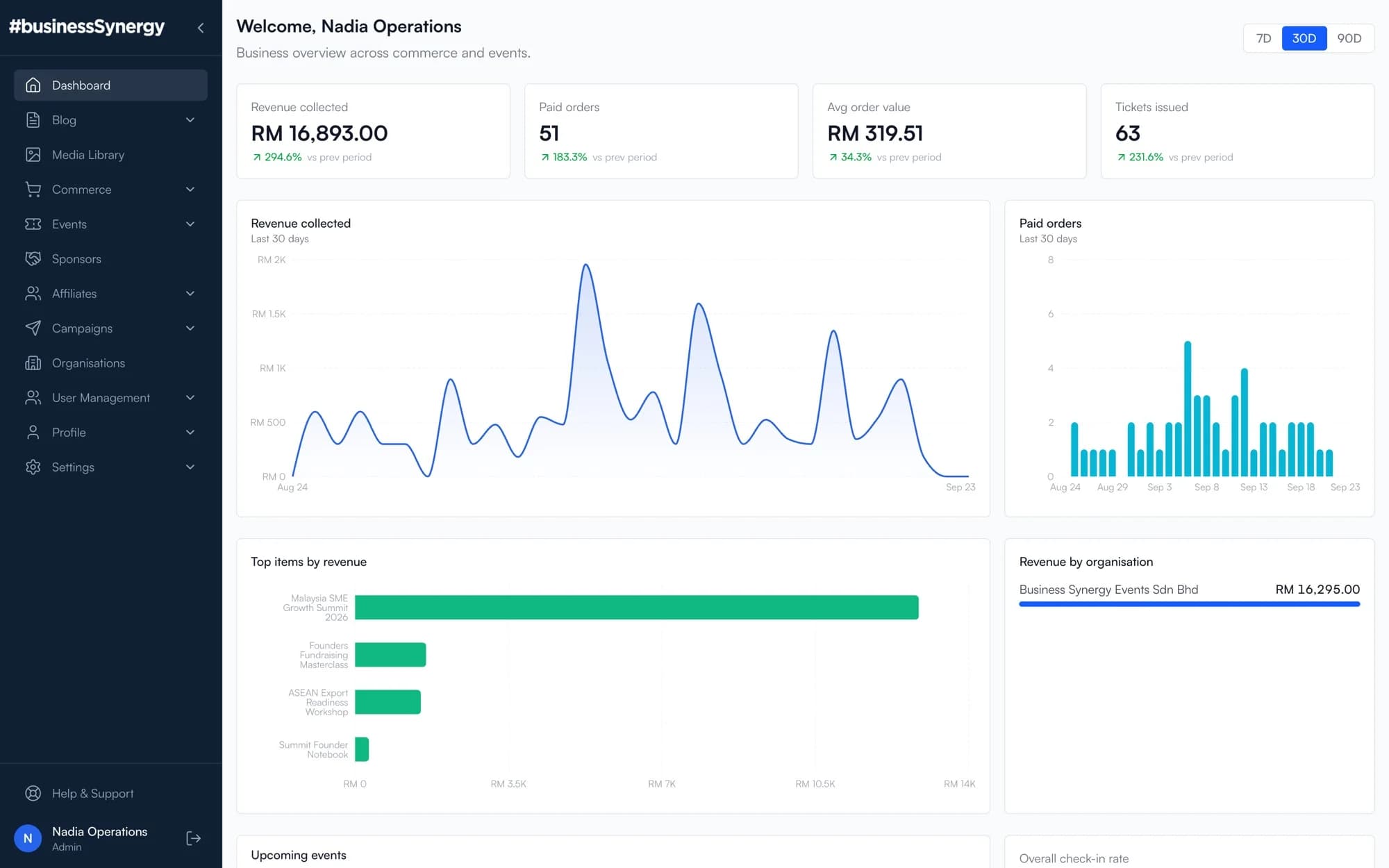 Business Synergy dashboard with revenue, paid orders and a mobile ticket (demo data)